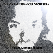 The Hammertong Project