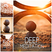 Deep Meditation 50 Tracks - Healing Sounds of Nature for Breathing Exercises to Reduce Stress Yoga Relaxation
