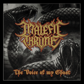 The Voice of my Ghost