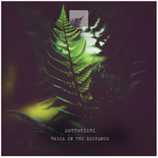 Voice in The Distance