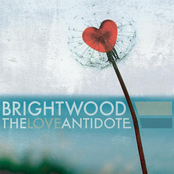 In Memory by Brightwood