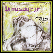The Lung by Dinosaur Jr.