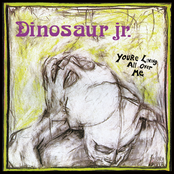 Dinosaur Jr.: You're Living All Over Me