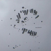 Borghesia