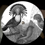 Anna Lunoe & Friends - EP