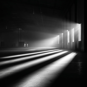 Quiet Patterns