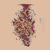 Saudade (O Corte 腹切り)