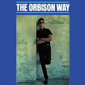 Never by Roy Orbison