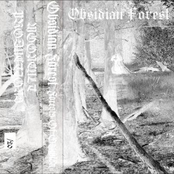 Forests Of Oblivion