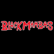 Black Mambas: Black Mambas