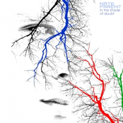 In the Shade of Doubt EP