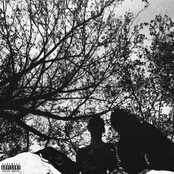 Consanguinity - EP