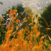 lluvii: Tierra y Luz