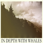 In Depth With Whales