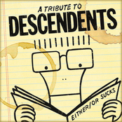 Either/Or Sucks: A Tribute To Descendents