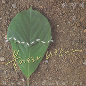 불어오라 바람아