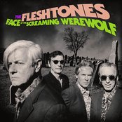 The Fleshtones - Face of the Screaming Werewolf Artwork