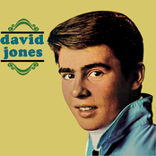 David Jones