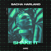 Shake It - Single