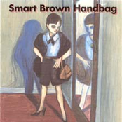 Smart Brown Handbag