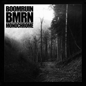 boomruin/bmrn