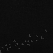 "still creek murder" is already the name of a band, so i'll call this song "untitled" and hope you figure out it's about you - Demo