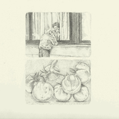 Brutus VIII: A Fucking Asshole