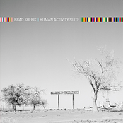 Human Activity by Brad Shepik
