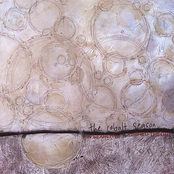 In Search Of A Unified Theory