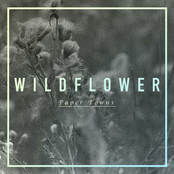 Wildflower