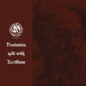 Pessimista Split with Noctilium