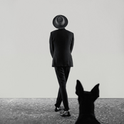 My Lotus Flower & Me (feat. The Veils)