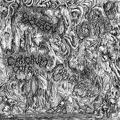 Asian Pathological Vomit Gorepremacy (Split)