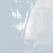 Split with Never Presence Forever