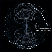 Synthetic Life