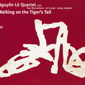 Walking on the Tiger's Tail