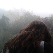 (minimum wage) (zero hours) (infinite forest)