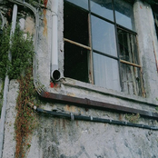 Like Someone in Love