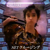 Netクルージング by CvltvrΣ