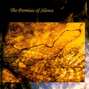 the promises of silence