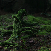 three (feat. Stephan Meidell)