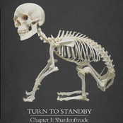 Chapter I :Shardenfreude