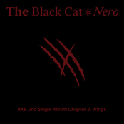 The Black Cat Nero