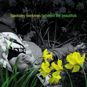 All The Trees Are Hers by Hawksley Workman