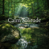 Calm Solitude