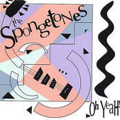 Goodbye by The Spongetones