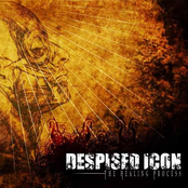 Despised Icon: The Healing Process