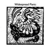 Weight Of The World by Widespread Panic
