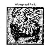 widespread panic