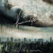 And Life In Insomnia